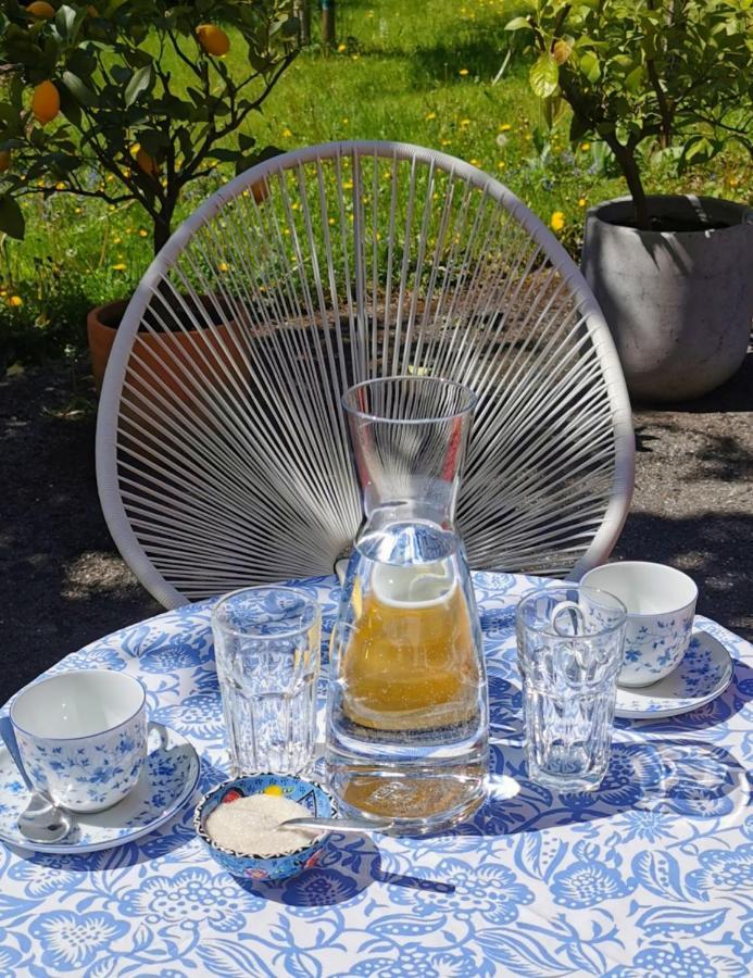 Villa Rosen - Ferienwohnungen Bad Reichenhall Buitenkant foto