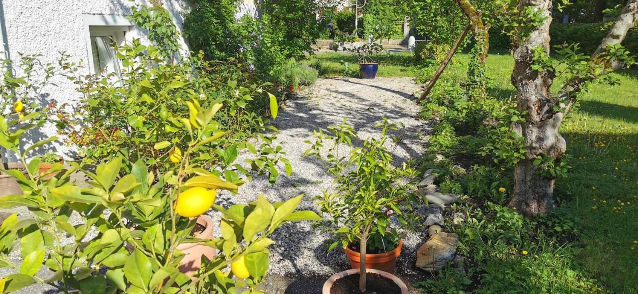 Villa Rosen - Ferienwohnungen Bad Reichenhall Buitenkant foto