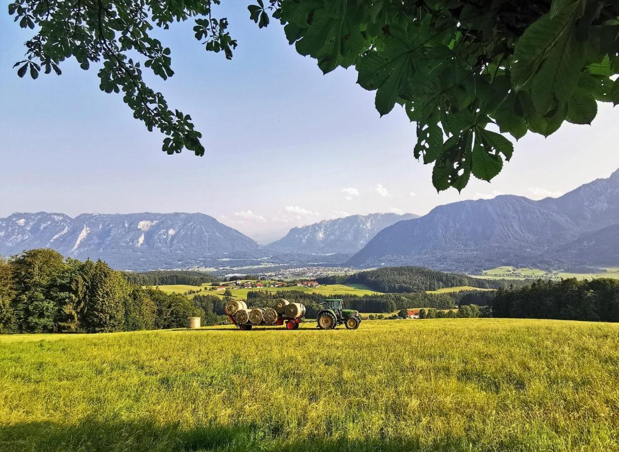 Villa Rosen - Ferienwohnungen Bad Reichenhall Buitenkant foto
